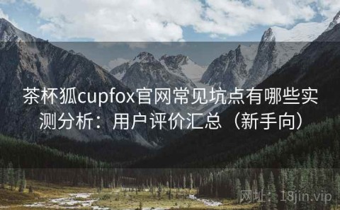 茶杯狐cupfox官网常见坑点有哪些实测分析：用户评价汇总（新手向）