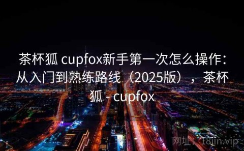茶杯狐 cupfox新手第一次怎么操作：从入门到熟练路线（2025版），茶杯狐 - cupfox