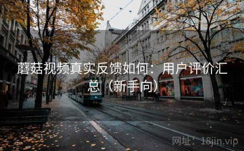 蘑菇视频真实反馈如何：用户评价汇总（新手向）