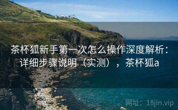 茶杯狐新手第一次怎么操作深度解析：详细步骤说明（实测），茶杯狐a