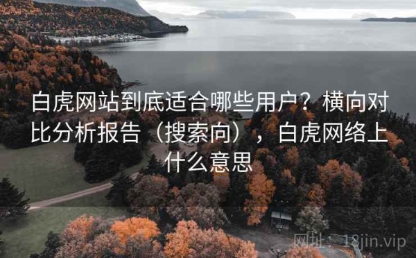 白虎网站到底适合哪些用户？横向对比分析报告（搜索向），白虎网络上什么意思