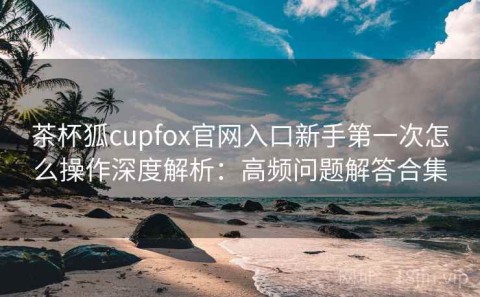 茶杯狐cupfox官网入口新手第一次怎么操作深度解析：高频问题解答合集