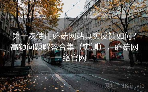 第一次使用蘑菇网站真实反馈如何？高频问题解答合集（实测），蘑菇网络官网