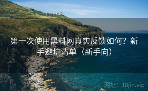 第一次使用黑料网真实反馈如何？新手避坑清单（新手向）