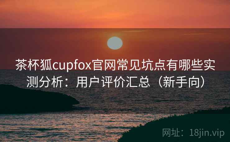 茶杯狐cupfox官网常见坑点有哪些实测分析：用户评价汇总（新手向）