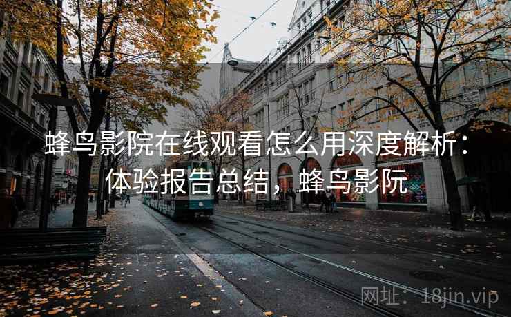 蜂鸟影院在线观看怎么用深度解析：体验报告总结，蜂鸟影阮