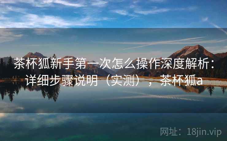 茶杯狐新手第一次怎么操作深度解析：详细步骤说明（实测），茶杯狐a