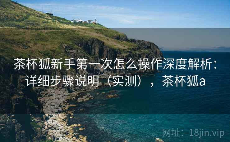 茶杯狐新手第一次怎么操作深度解析：详细步骤说明（实测），茶杯狐a